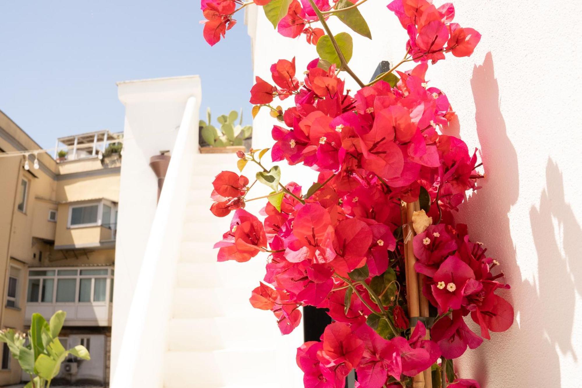 Guest house Civico 50 Naples